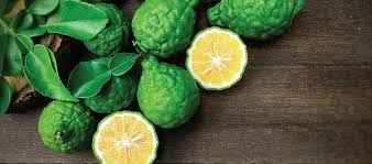 Bergamot Cold Pressed Oil. 100% Pure Organic 10mL - Image 2