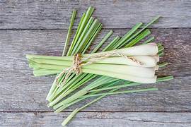 Lemongrass Essential Oil. 100% Pure Organic 10mL - Image 2
