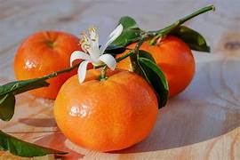 Tangerine Essential Oil. 100% Pure Organic 10mL - Image 2