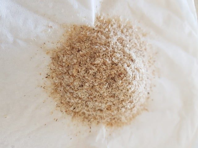 Psyllium Powder Organic - Image 2